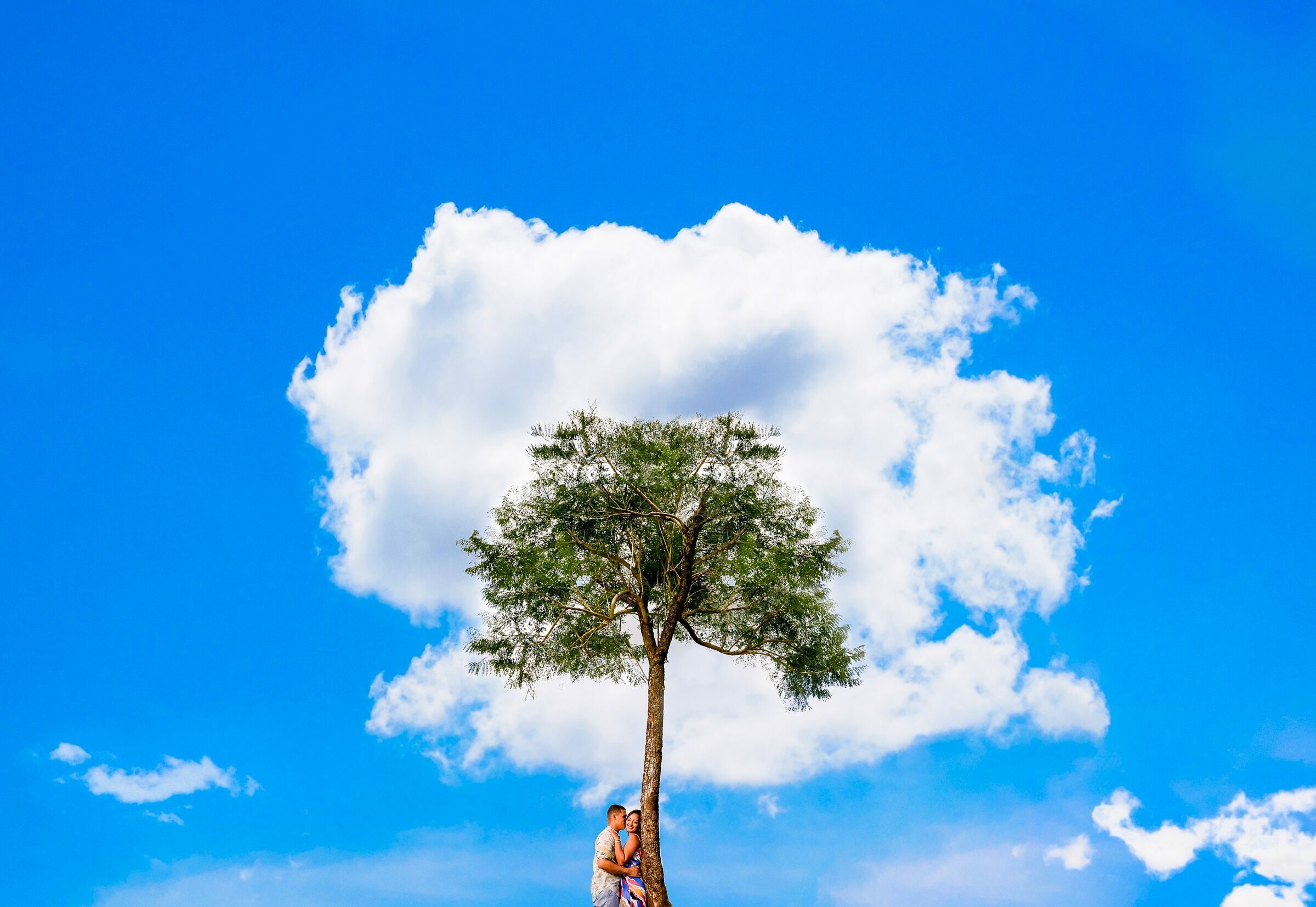 Foto de Daniel Ribeiro Fotografia 45