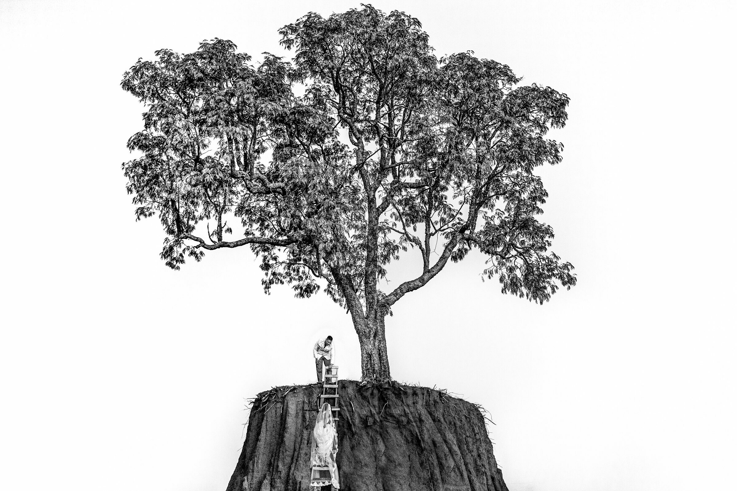 Foto de Daniel Ribeiro Fotografia 22