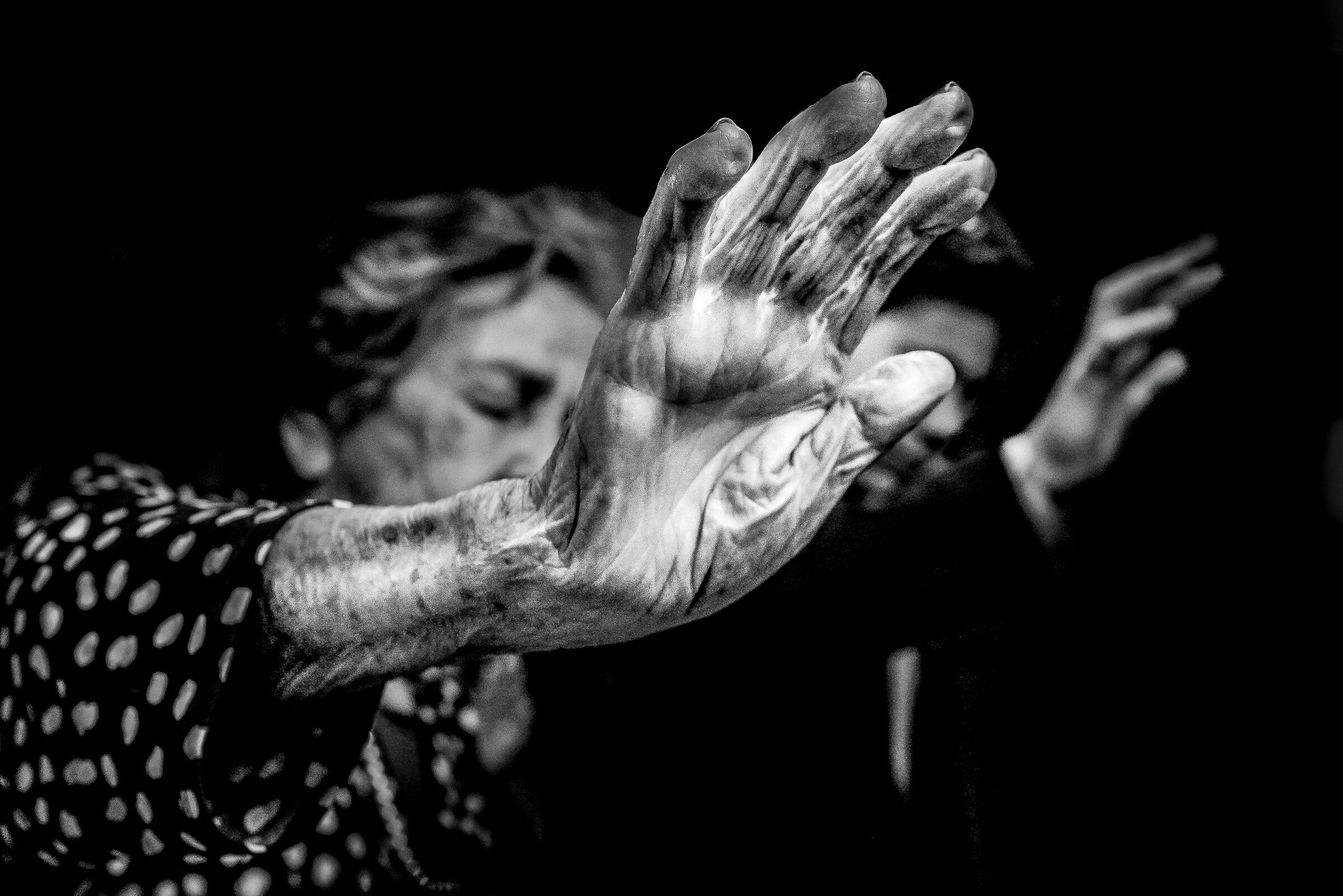 Foto de Daniel Ribeiro Fotografia 14