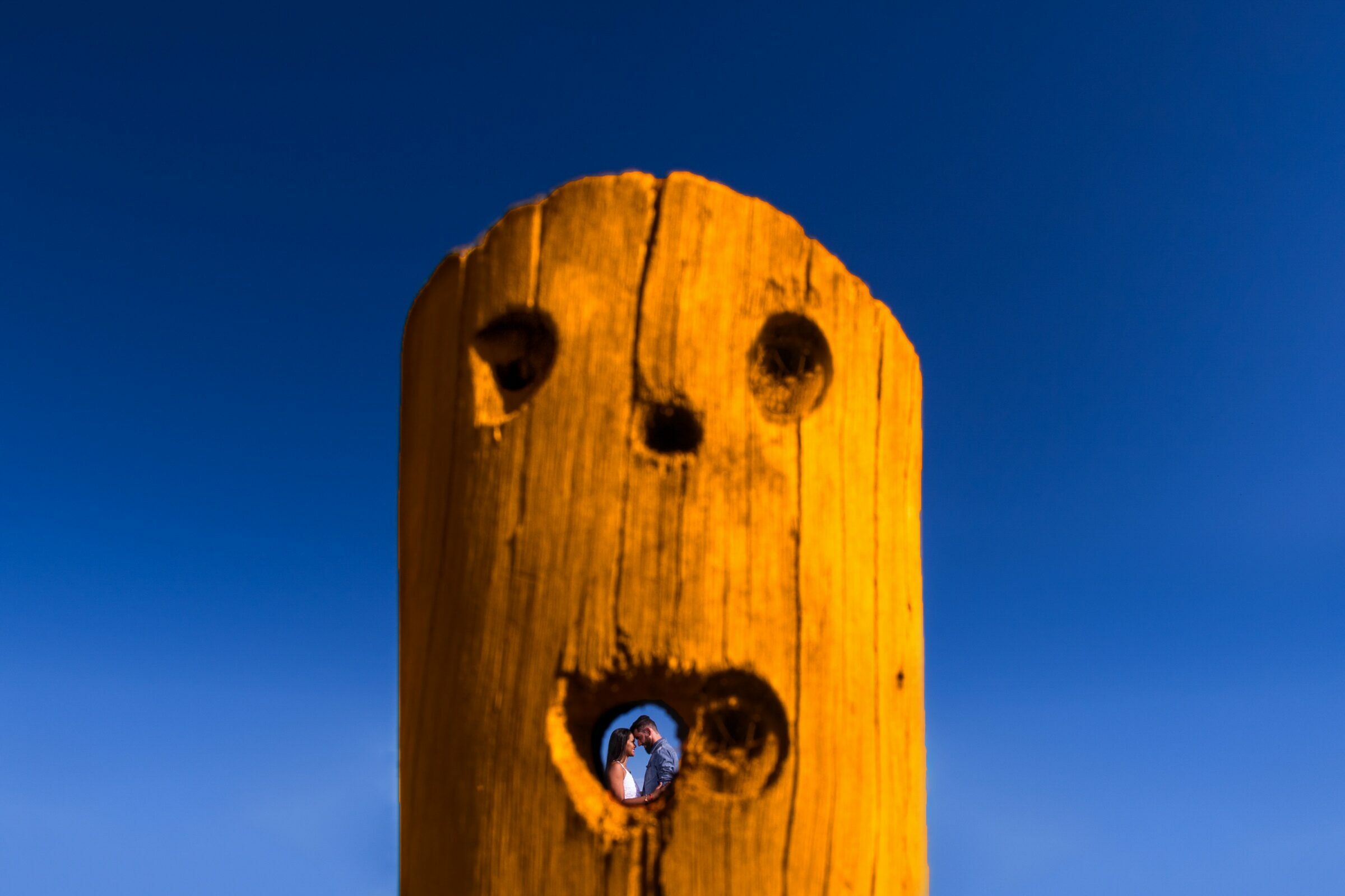 Foto de Daniel Ribeiro Fotografia 15