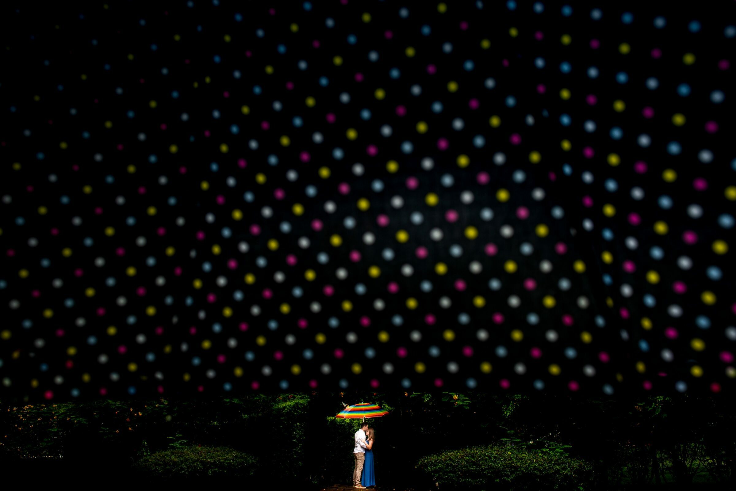 Foto de Daniel Ribeiro Fotografia 5