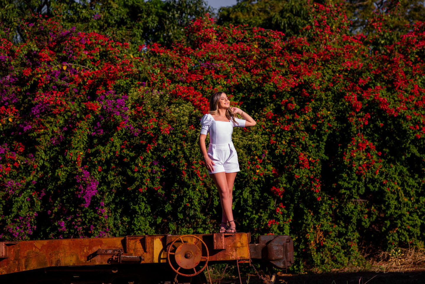 Anna Terra Anna Terra